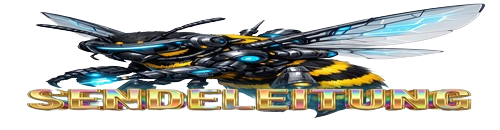 Sendeleitung